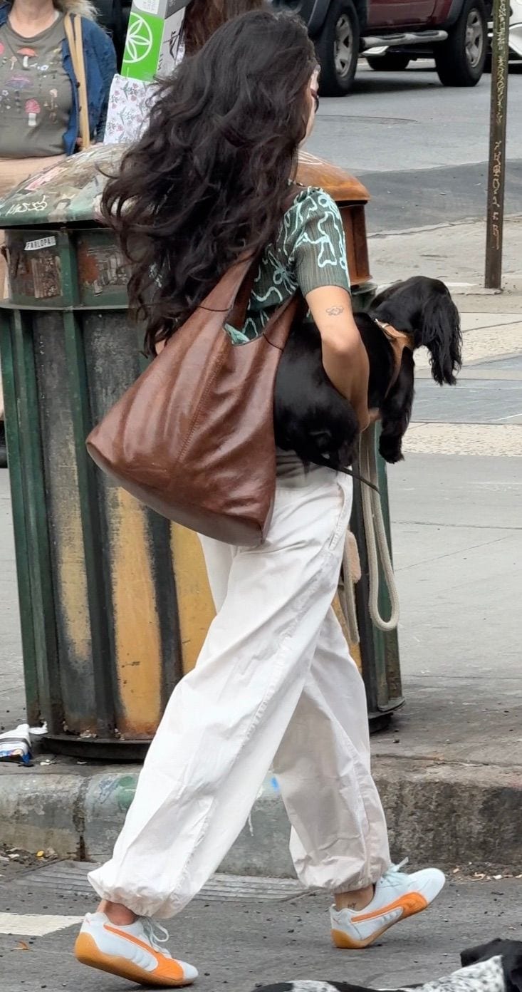 Green patterned top, white pants, brown tote, and orange/white sneakers with a black dog.